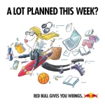 Red Bull Energy Drink 250 ml x12 - Image 2