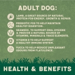 Harringtons Complete Dry Adult Dog Food Lamb & Rice 18kg - Made with All Natural Ingredients - Image 4