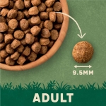 Harringtons Complete Dry Adult Dog Food Lamb & Rice 18kg - Made with All Natural Ingredients - Image 2