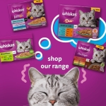 WHISKAS - 1+- Adult Wet Cat Food Pouches - 40 x 85 g - Fish in Jelly - Bulk Cat Food Megapack - 40 Pouches - Image 4