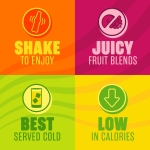 J2O Fruit Juice, Orange and Passion Fruit, 250ml Cans (Pack of 12) - Image 9