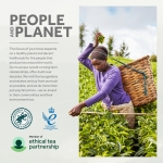 Yorkshire Tea, Total 600 Tea Bags, (Pack of 1.875 kg) - Image 2