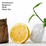 Calvin Klein CK One Essence, Unisex Parfum Intense for All, Vibrant Fragrance with Notes of Bergamot, Organic Green Tea and Sandalwood, High Longevity, 50ml - Image 5