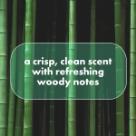 DOVE MEN + CARE Whole Body Deo Aluminum-Free Deodorant Stick Aloe + Bamboo Helps Avoid Chafing Suitable from Pits, Privates, to Feet 2.6 oz - Image 5