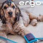 Ancol Ergo Hedgehog Pet Slicker for Long, Short, Silky & Curly Coats - Dog Puppy Multipurpose Hygiene Tool - Professional Grooming Accessory - Medium - Image 2