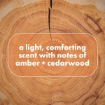 Dove Men+Care Whole Body Deo Aluminum-Free Deodorant Spray Shea Butter + Cedar Suitable from Pits, Privates, to Feet with Vitamin E 4 oz - Image 9